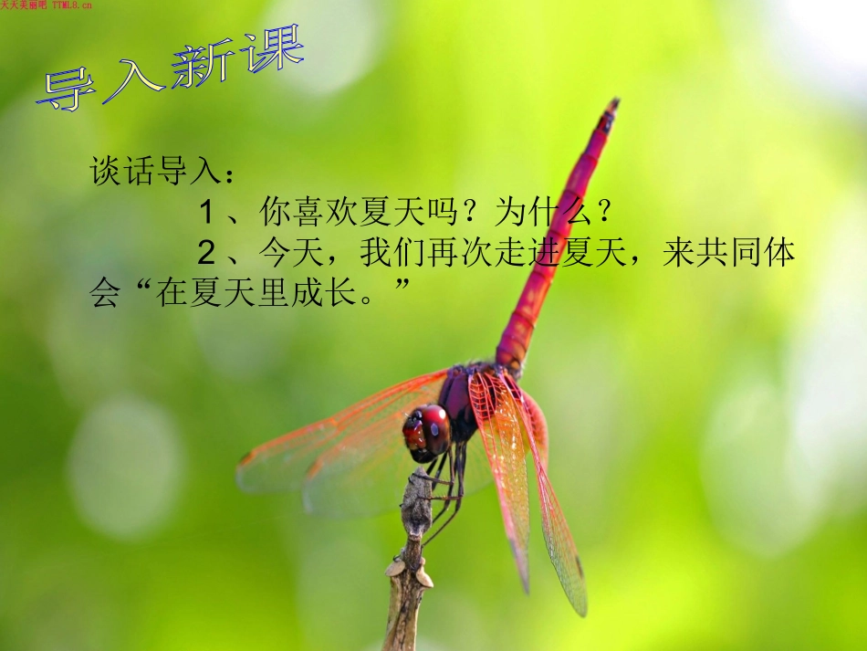 在夏天里成长 (2)_第3页