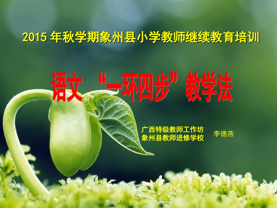 一环四步教学模式 (2)_第2页