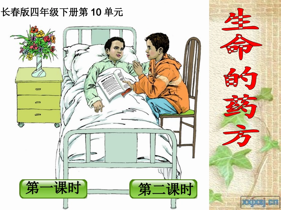 长春版四年级下册《生命的药方》课件_第1页