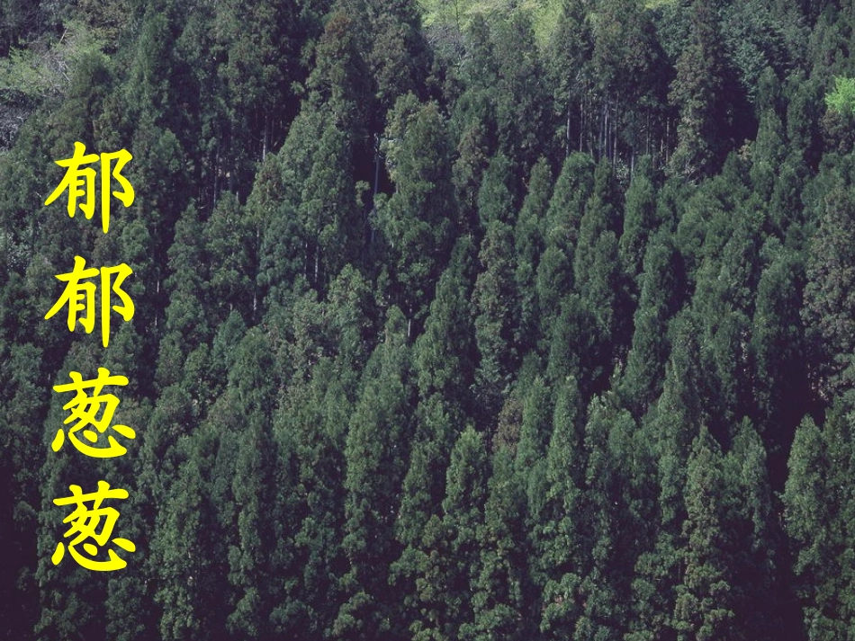 一个小村庄的故事 (7)_第3页