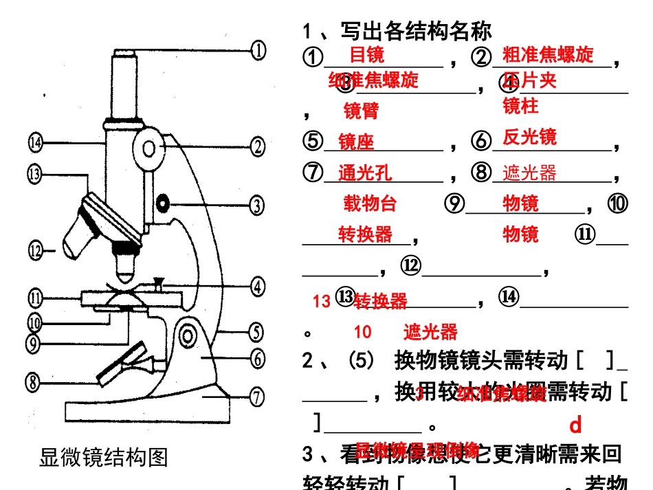 生物七上图题_第1页