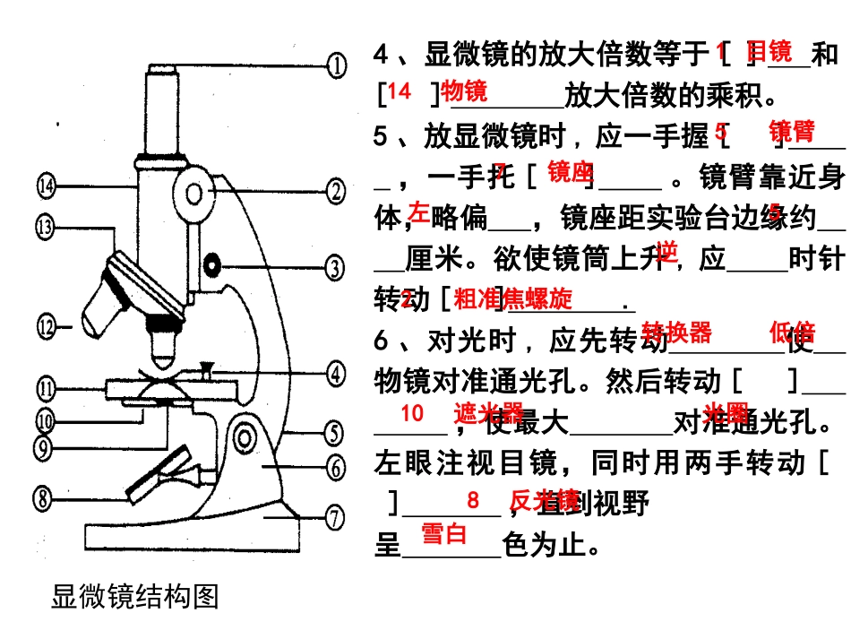 生物七上图题_第2页