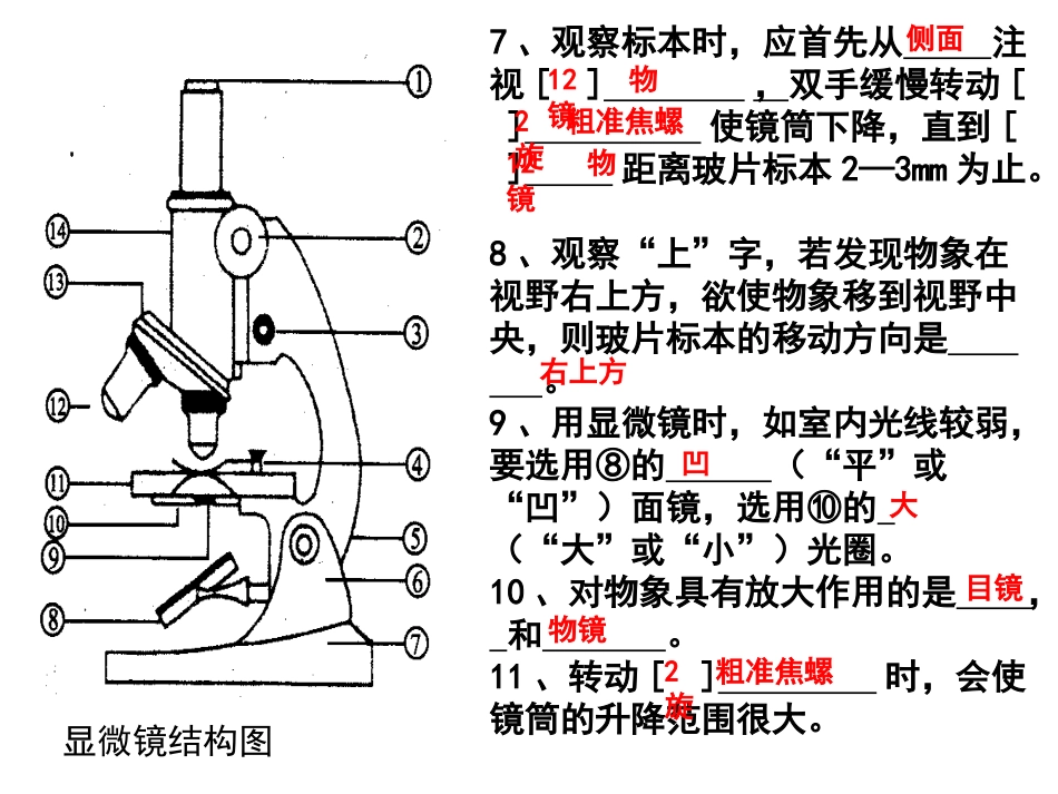 生物七上图题_第3页