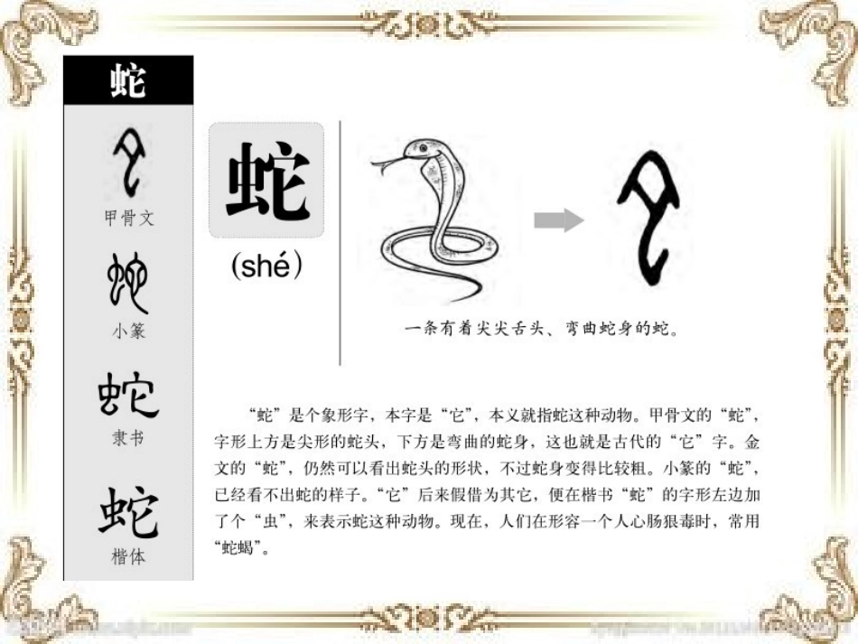 一年语文下二单元动物乐园_第2页