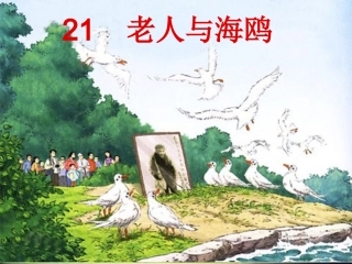 老人与海鸥课件