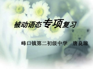 中考英语被动语态专题复习课件