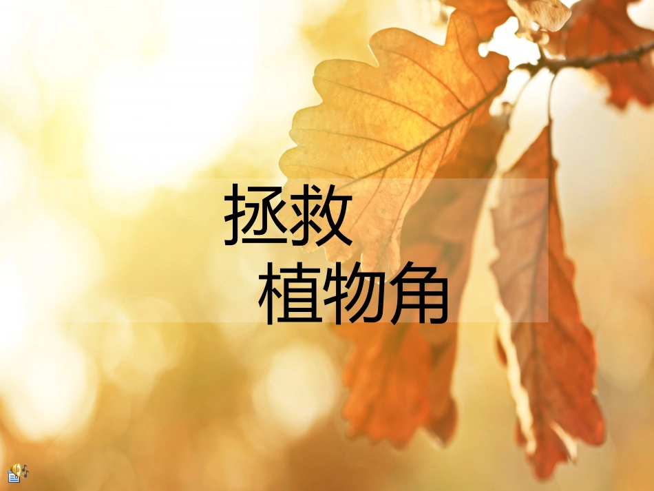 拯救我班植物_第1页