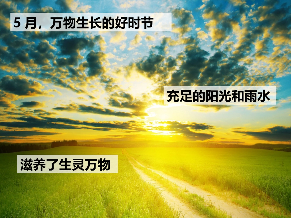 拯救我班植物_第2页