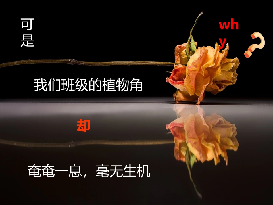 拯救我班植物_第3页