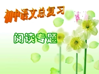 中考语文复习指导课件 阅读