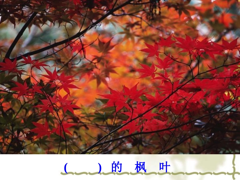 蓝色的树叶 (6)_第3页