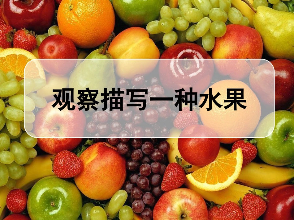 三年级作文习作《观察描写水果》_第1页