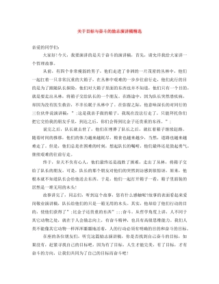 关于目标与奋斗的励志演讲稿精选 