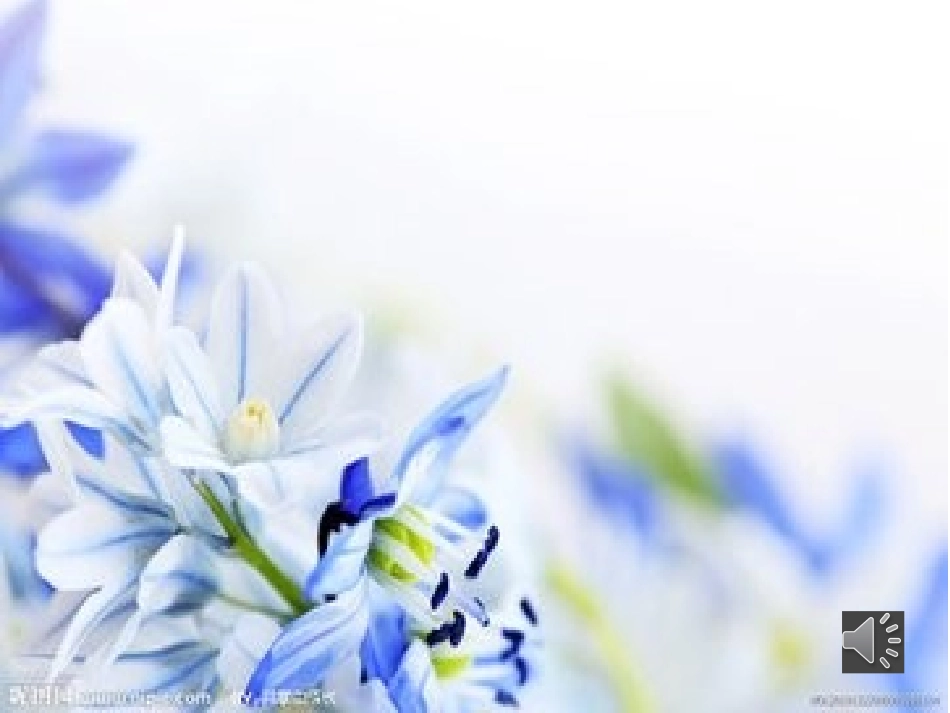 我的劳动成果_第1页