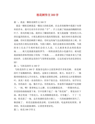 桂花树作文300字 