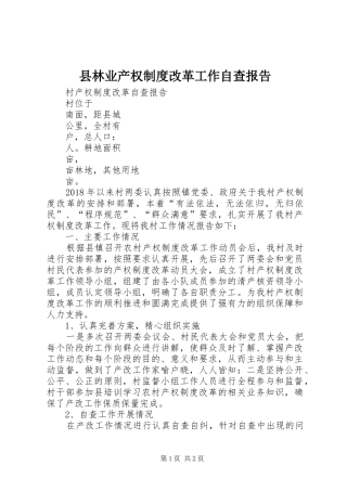 县林业产权制度改革工作自查报告
