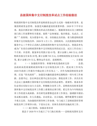 县级国库集中支付制度改革试点工作经验做法 