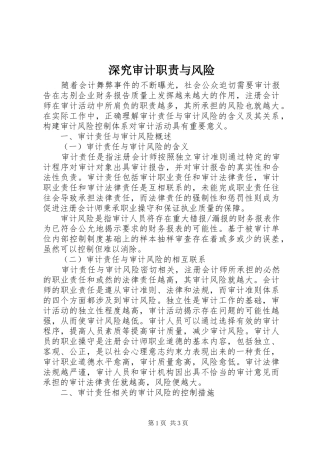 深究审计职责与风险