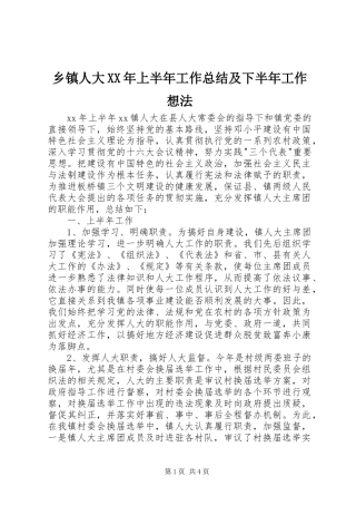 乡镇人大XX年上半年工作总结及下半年工作想法