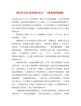 湖北省2024高考满分作文--《看着我的眼睛》 