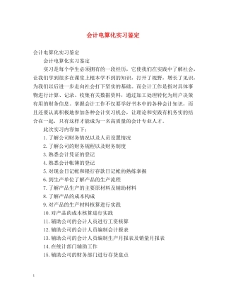 会计电算化实习鉴定 (2) 