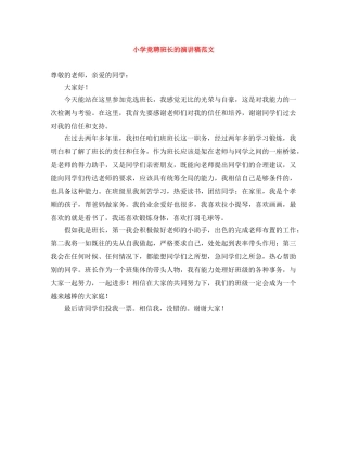 小学竞聘班长的演讲稿范文 