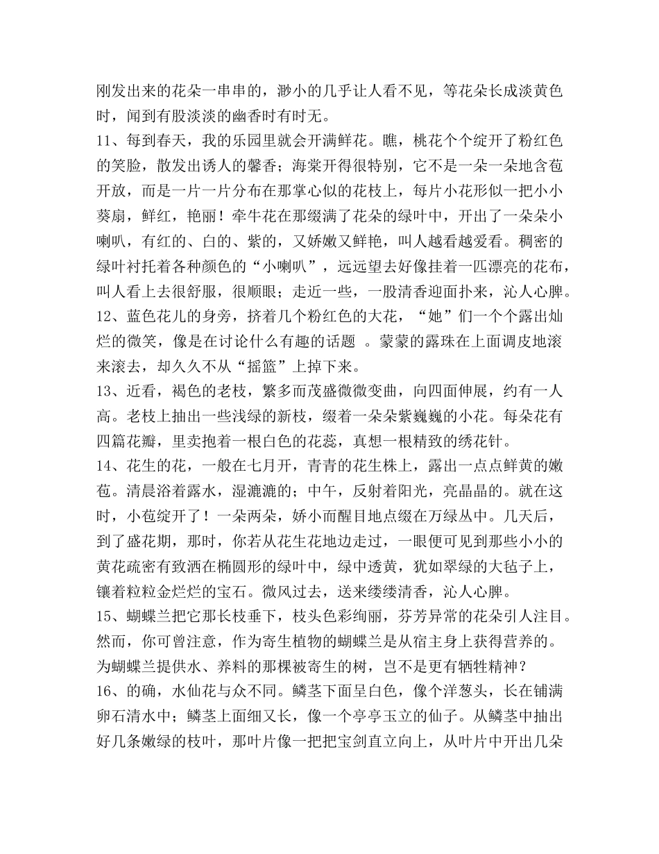 描写花的好段200字 _第3页