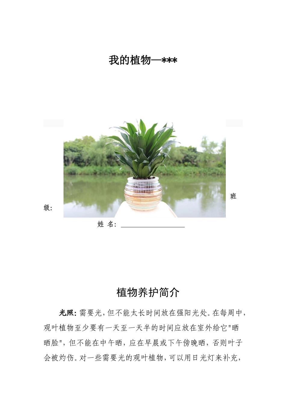 幼儿园植物观察记录表_第1页