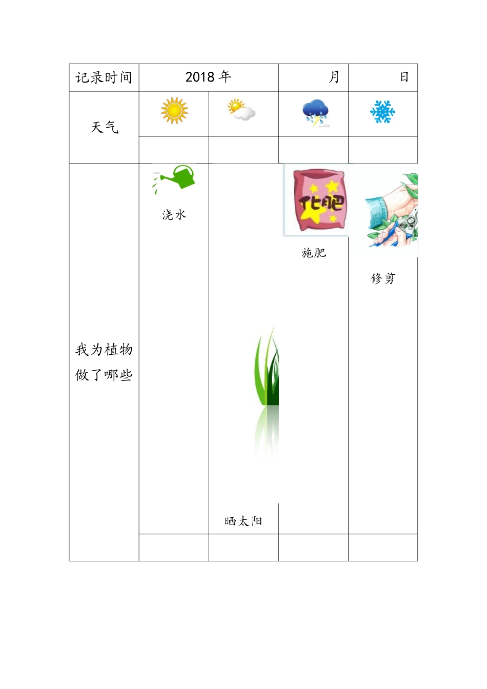 幼儿园植物观察记录表_第3页