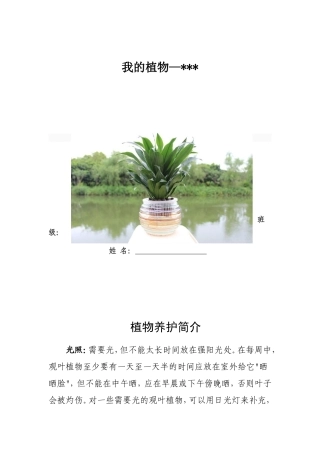 幼儿园植物观察记录表