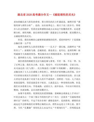 湖北省2024高考满分作文--《捕捉理性的灵光》 