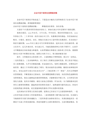 企业中层干部岗位竞聘演讲稿 