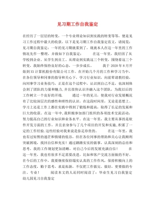 见习期工作自我鉴定 (2) 