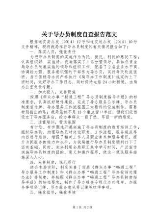 关于导办员制度自查报告范文