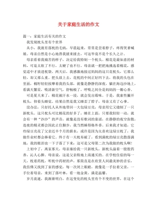 关于家庭生活的作文 