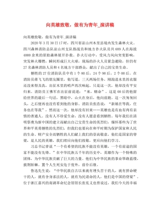 向英雄致敬，做有为青年_演讲稿 