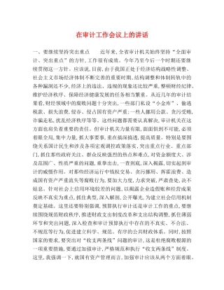 在审计工作会议上的讲话2 