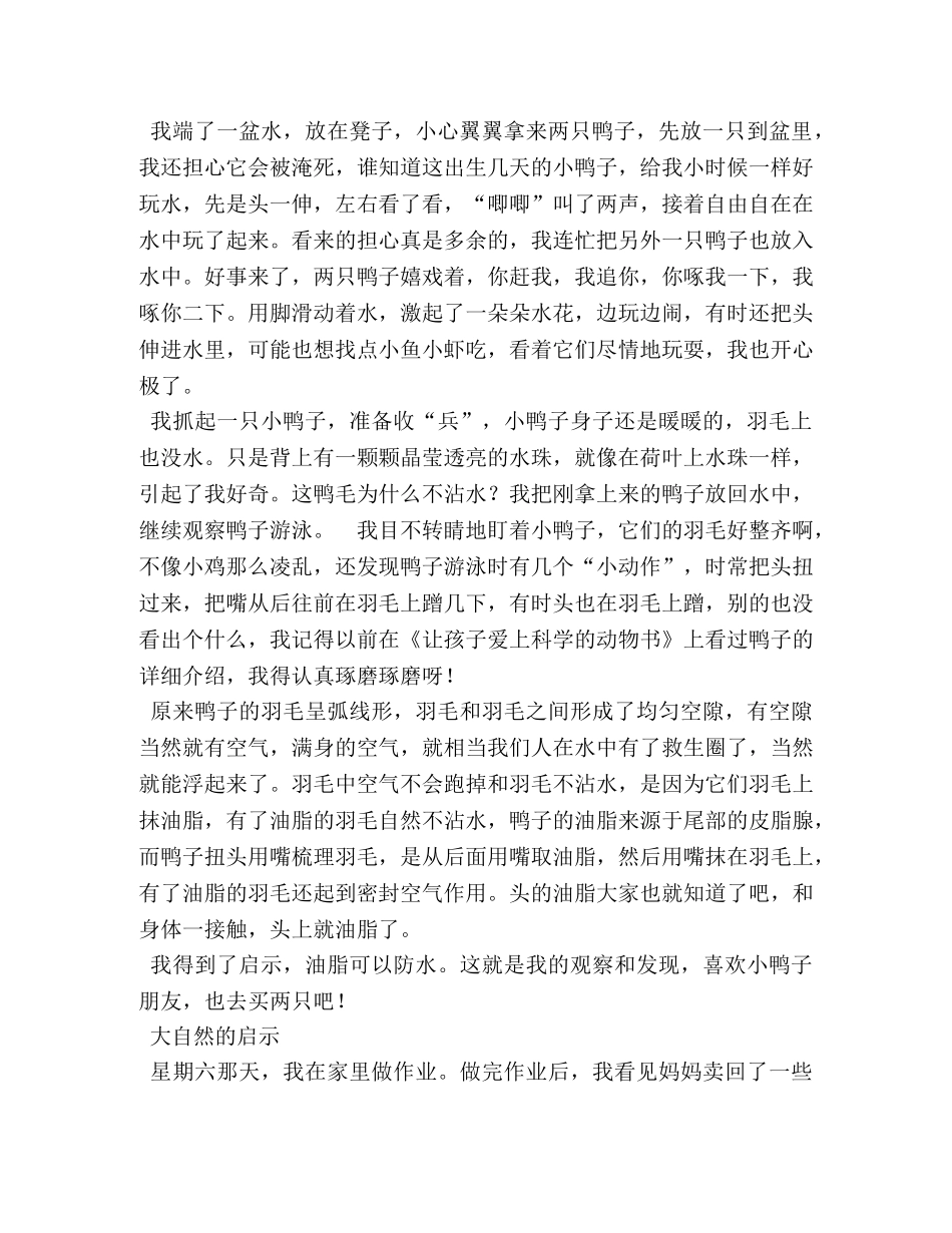 小学生作文,大自然的启示 _第2页