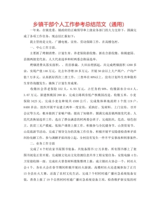 乡镇干部个人工作参考总结范文（通用） 