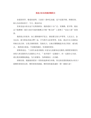 竞选小队长的演讲稿范文 