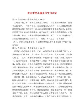 生活中的小镜头作文300字 