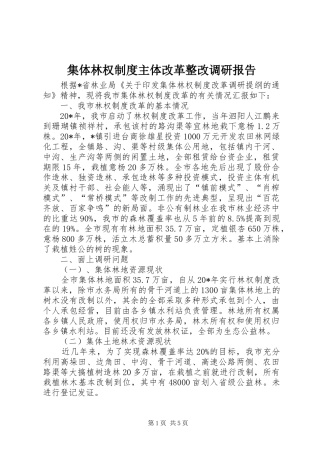 集体林权制度主体改革整改调研报告