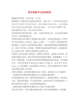 团市委副书记竞岗演讲 