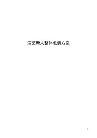 艺人整体包装策划方案(全案)