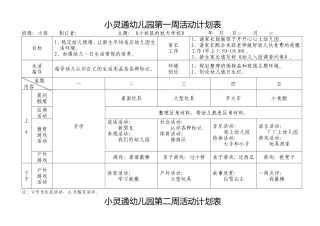 新安幼儿园小班第一周活动计划表