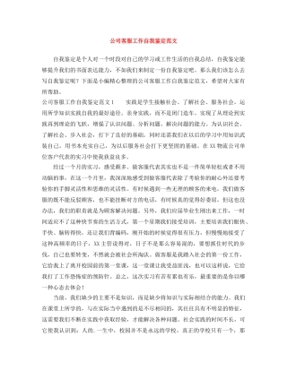 公司客服工作自我鉴定范文 