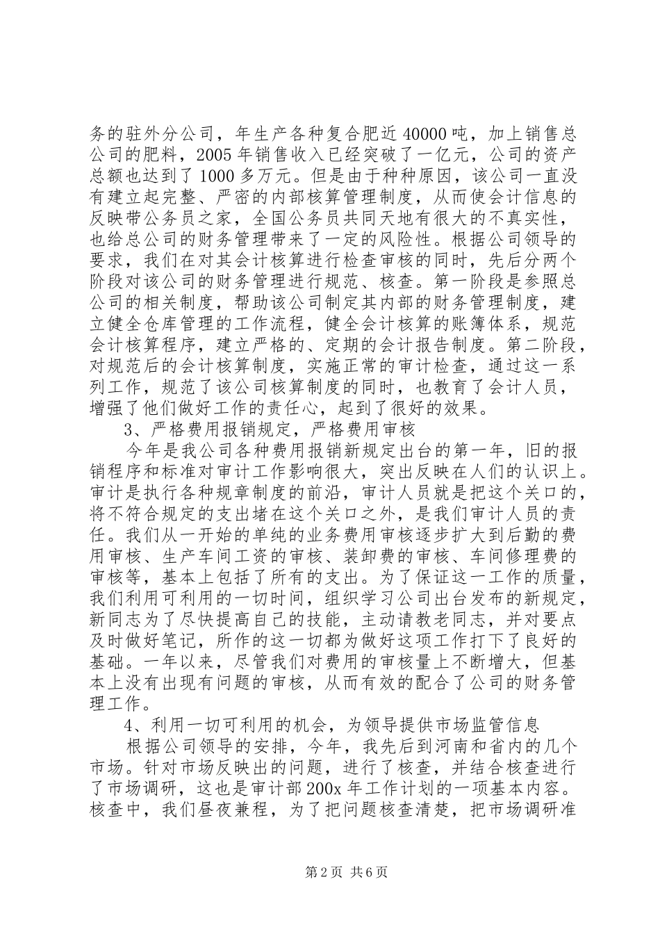 公司审计部门领导年终工作总结报告_第2页