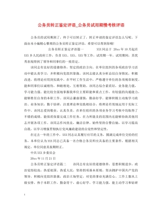 公务员转正鉴定评语_公务员试用期慢考核评语 