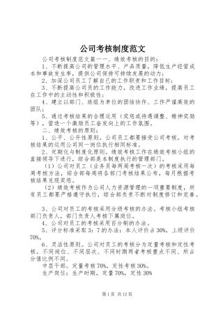 公司考核制度范文