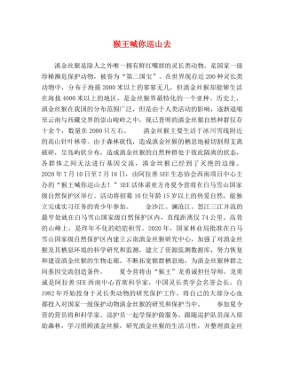 猴王喊你巡山去 